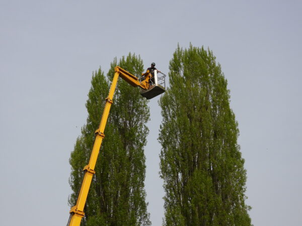 Podnośnik koszowy 3700 RJ - obrazek 11